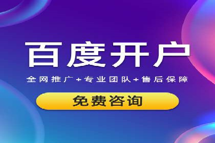 成功案例分享：托管竞价SEM优化策略